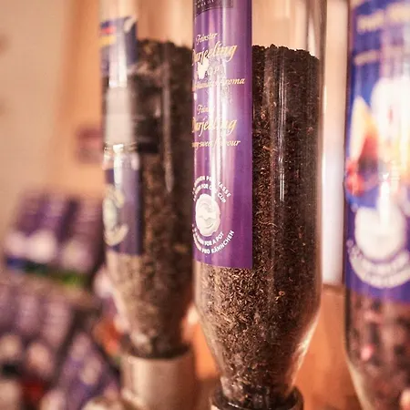 Brennerspitz 4* Rehoboth Beach